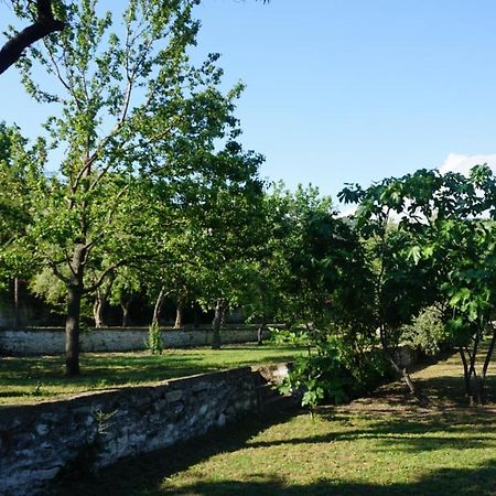 Kavet Palio Cottage PalaiónTsiflíkion Εξωτερικό φωτογραφία