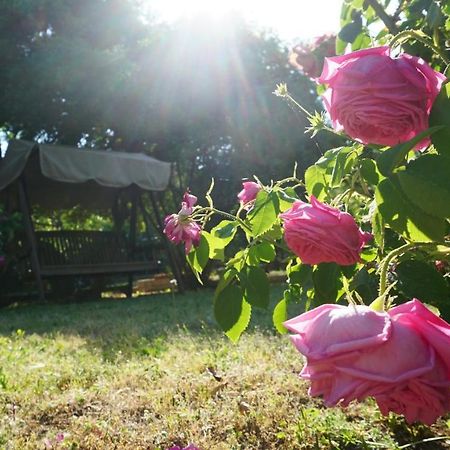 Kavet Palio Cottage PalaiónTsiflíkion Εξωτερικό φωτογραφία