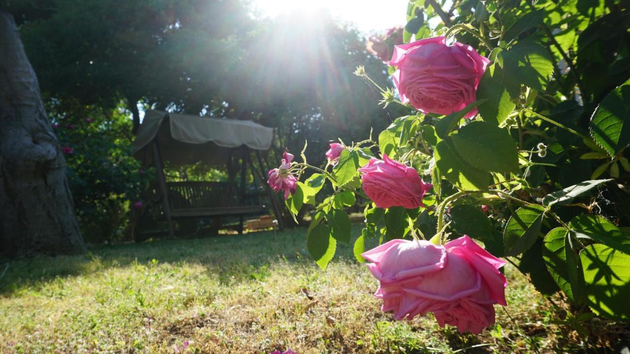 Kavet Palio Cottage PalaiónTsiflíkion Εξωτερικό φωτογραφία